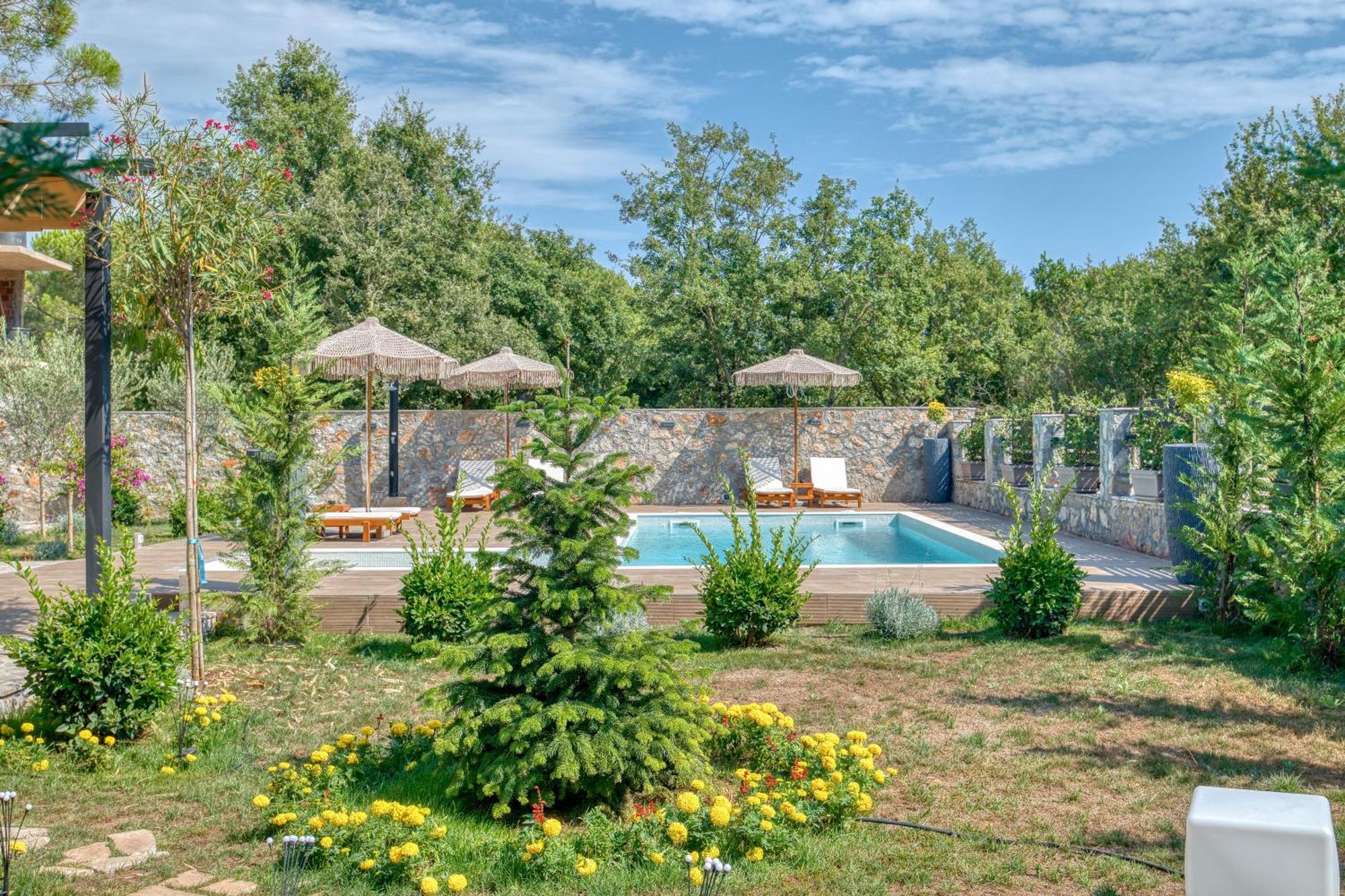 Villa Amfora *
